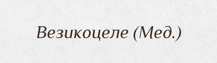 Везикоцеле (Мед.) — Словник чужомовних слів і термінів