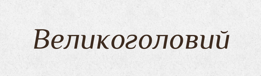 Великоголовий — Словник чужомовних слів і термінів