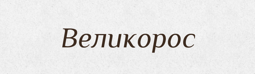 Великорос — Словник чужомовних слів і термінів