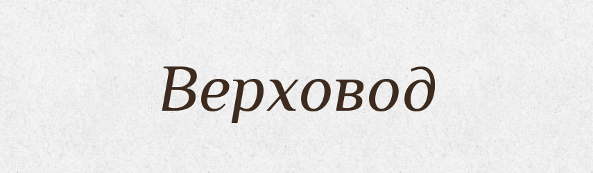Верховод — Словник чужомовних слів і термінів