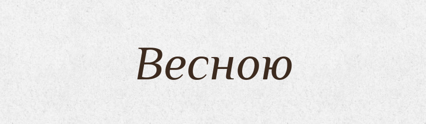 Весною — Словник чужомовних слів і термінів