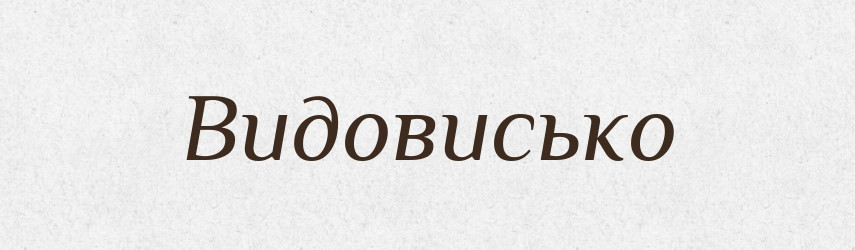 Видовисько — Словник чужомовних слів і термінів