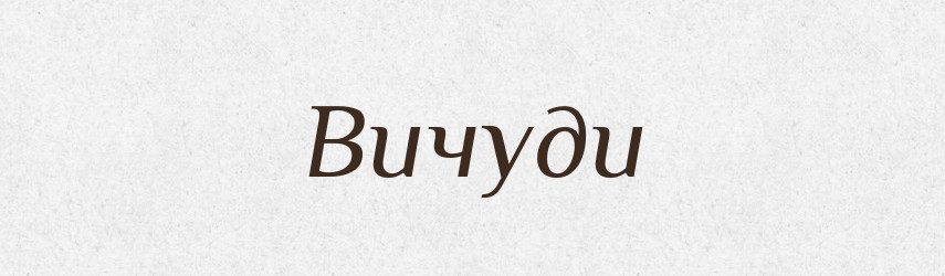 Вичуди — Словник чужомовних слів і термінів