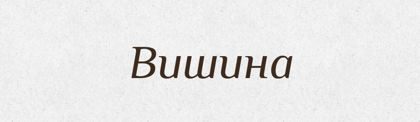 Вишина — Словник чужомовних слів і термінів