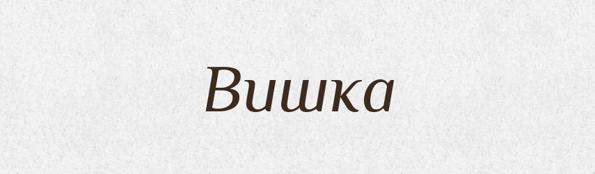 Вишка — Словник чужомовних слів і термінів