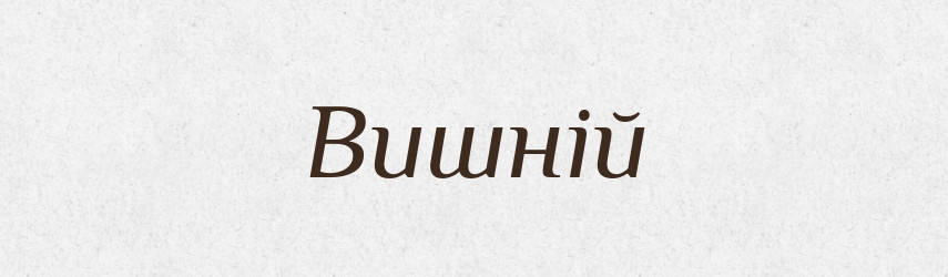 Вишній — Словник чужомовних слів і термінів