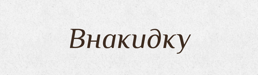 Внакидку — Словник чужомовних слів і термінів