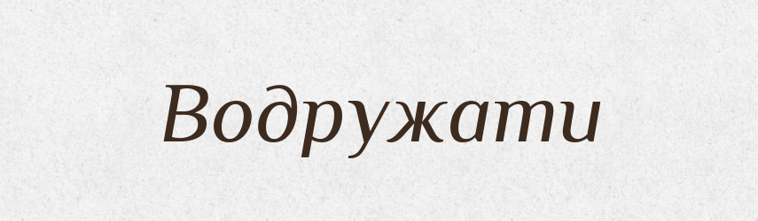 Водружати — Словник чужомовних слів і термінів