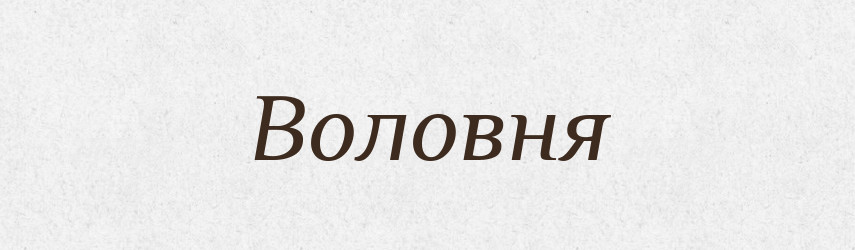 Воловня — Словник чужомовних слів і термінів
