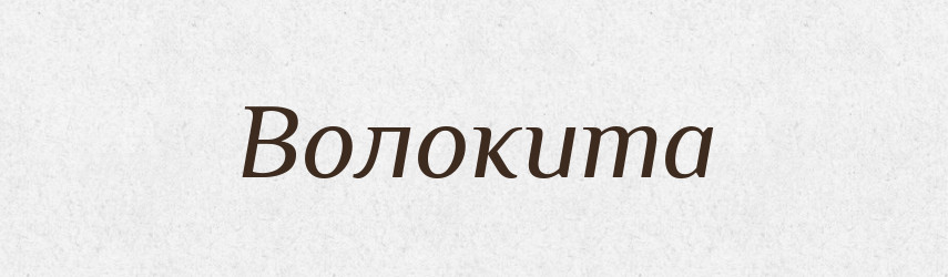 Волокита — Словник чужомовних слів і термінів