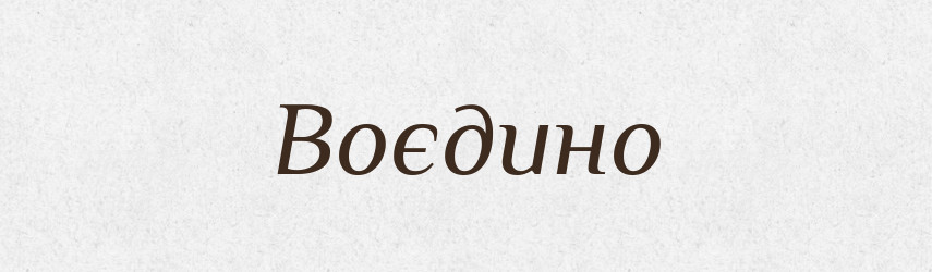 Воєдино — Словник чужомовних слів і термінів