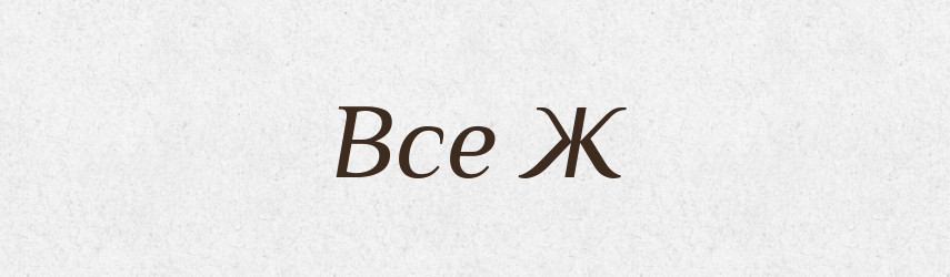 Все Ж — Словник чужомовних слів і термінів