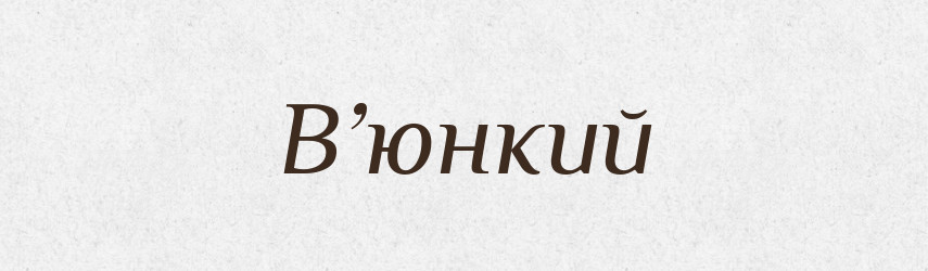 В’юнкий — Словник чужомовних слів і термінів