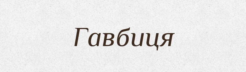 Гавбиця — Словник чужомовних слів і термінів