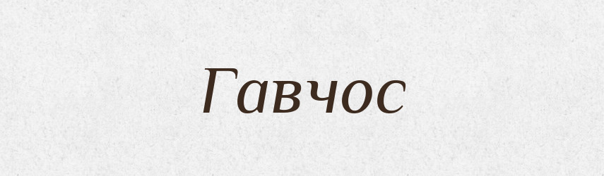 Гавчос — Словник чужомовних слів і термінів