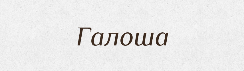 Галоша — Словник чужомовних слів і термінів