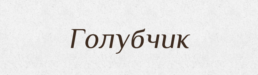 Голубчик — Словник чужомовних слів і термінів