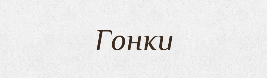 Гонки — Словник чужомовних слів і термінів