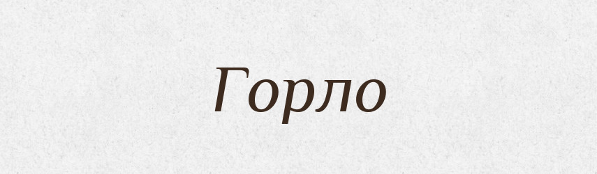 Горло — Словник чужомовних слів і термінів