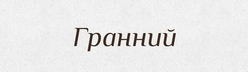 Гранний — Словник чужомовних слів і термінів