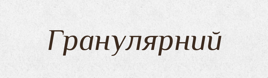 Гранулярний — Словник чужомовних слів і термінів