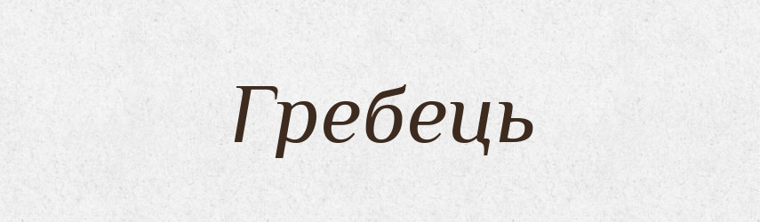 Гребець — Словник чужомовних слів і термінів