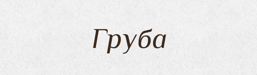 Груба — Словник чужомовних слів і термінів
