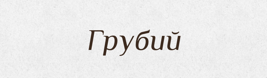 Грубий — Словник чужомовних слів і термінів