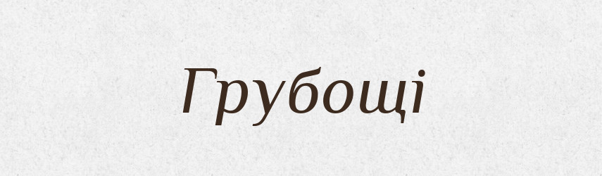 Грубощі — Словник чужомовних слів і термінів