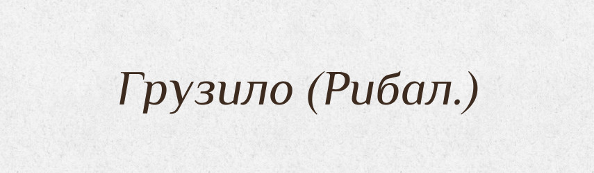 Грузило (Рибал.) — Словник чужомовних слів і термінів