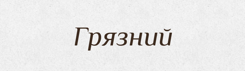 Грязний — Словник чужомовних слів і термінів
