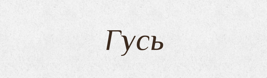 Гусь — Словник чужомовних слів і термінів