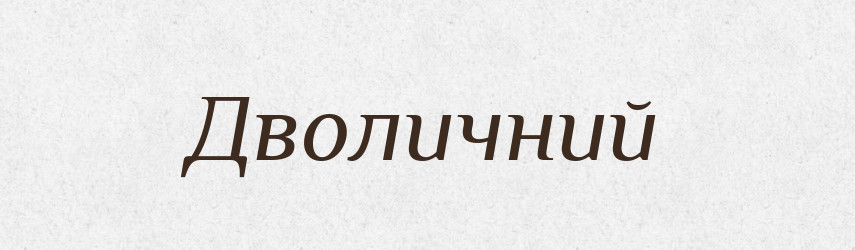 Дволичний — Словник чужомовних слів і термінів