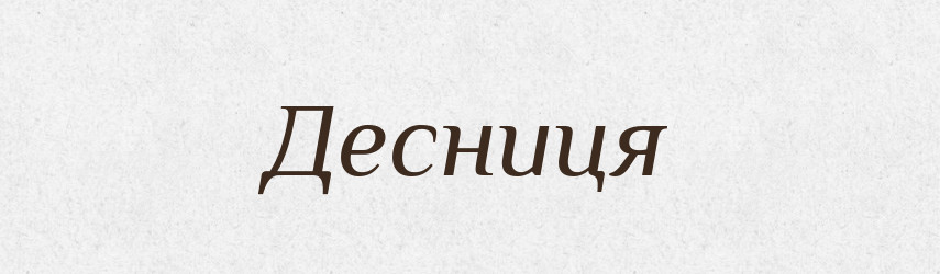Десниця — Словник чужомовних слів і термінів