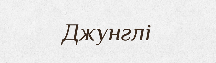 Джунглі — Словник чужомовних слів і термінів