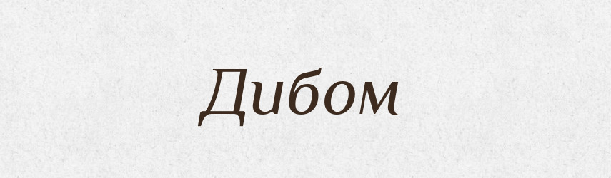 Дибом — Словник чужомовних слів і термінів
