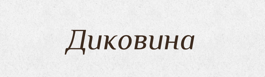 Диковина — Словник чужомовних слів і термінів