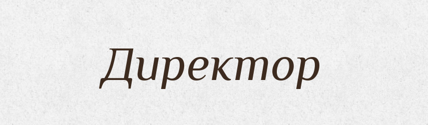 Директор — Словник чужомовних слів і термінів