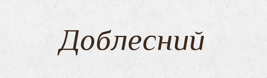 Доблесний — Словник чужомовних слів і термінів