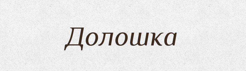 Долошка — Словник чужомовних слів і термінів