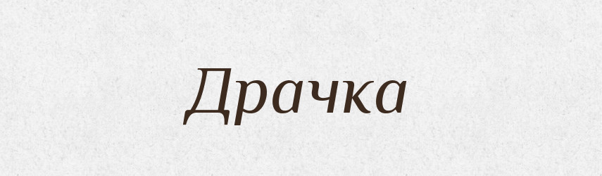 Драчка — Словник чужомовних слів і термінів