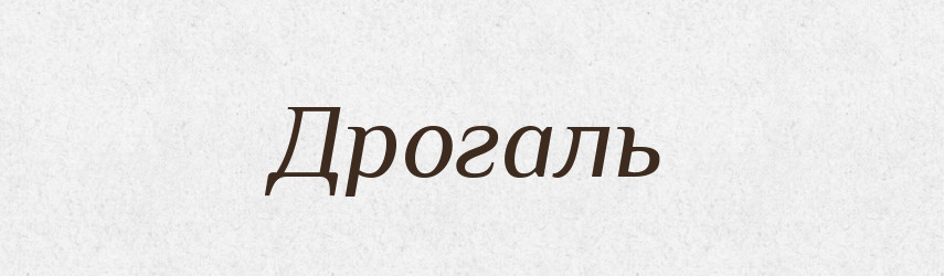 Дрогаль — Словник чужомовних слів і термінів