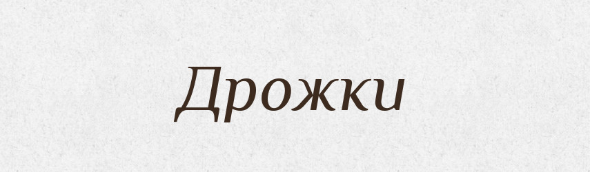 Дрожки — Словник чужомовних слів і термінів