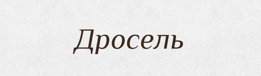 Дросель — Словник чужомовних слів і термінів