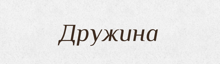 Дружина — Словник чужомовних слів і термінів