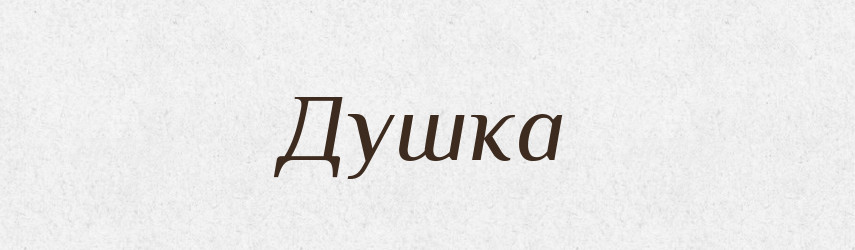 Душка — Словник чужомовних слів і термінів