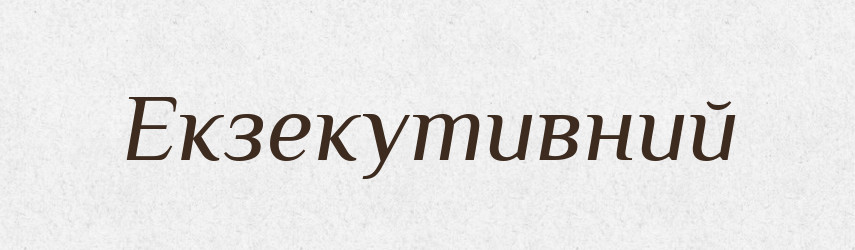 Екзекутивний — Словник чужомовних слів і термінів