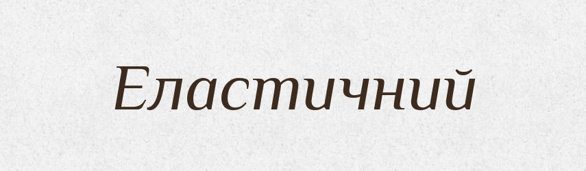 Еластичний — Словник чужомовних слів і термінів