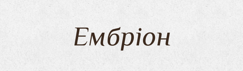 Ембріон — Словник чужомовних слів і термінів