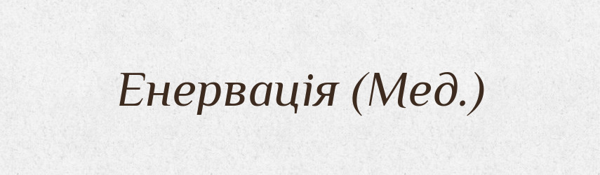 Енервація (Мед.) — Словник чужомовних слів і термінів
